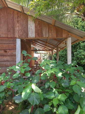 Imagen general del Hotel Centro Ecoturistico Yaajche. Foto 1
