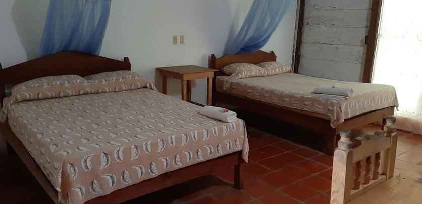 Imagen de la habitación del Hotel Centro Ecoturistico Yaajche. Foto 5