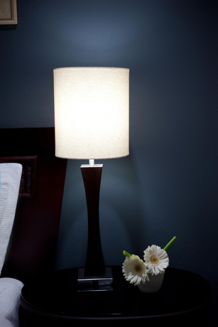 Imagen de la habitación del Hotel Centro Plaza Hodelpa. Foto 5