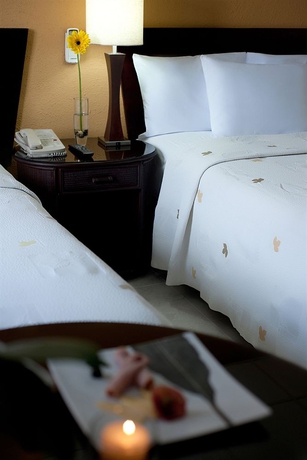 Imagen de la habitación del Hotel Centro Plaza Hodelpa. Foto 7