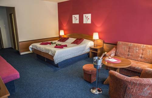 Imagen general del Hotel Centrum Harrachov. Foto 1
