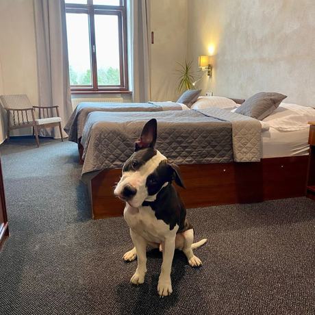 Imagen de la habitación del Hotel Centrum, Hranice. Foto 13