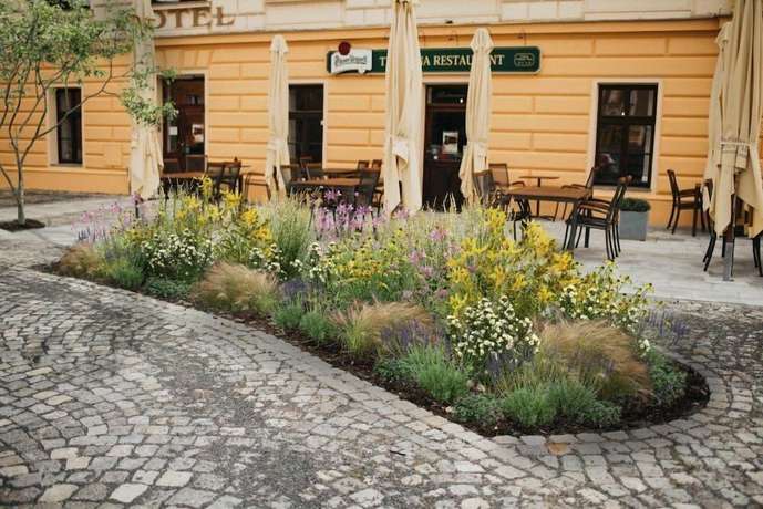 Imagen del bar/restaurante del Hotel Centrum, Hranice. Foto 8