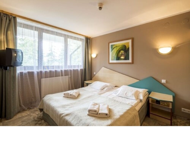 Imagen de la habitación del Hotel Centrum Konferencyjno- Rekreacyjne Geovita. Foto 9
