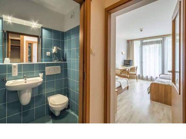 Imagen de la habitación del Hotel Centrum Konferencyjno- Rekreacyjne Geovita. Foto 14