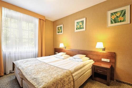 Imagen de la habitación del Hotel Centuria. Foto 8