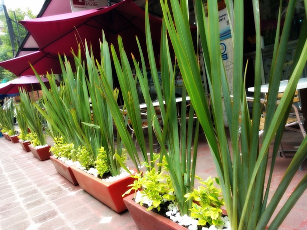 Imagen general del Hotel Century Reforma. Foto 2