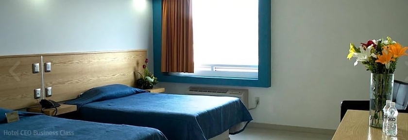 Imagen de la habitación del Hotel Ceo Business Class. Foto 2