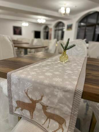 Imagen general del Hotel Cerbul Chalet. Foto 8