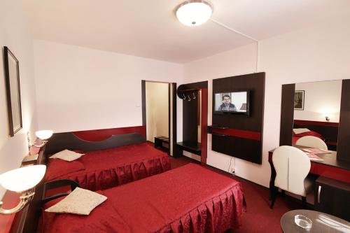 Imagen de la habitación del Hotel Cerbul. Foto 9