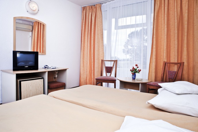 Imagen de la habitación del Hotel Cerna. Foto 10