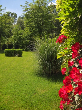 Imagen de los exteriores del Hotel Certaldo. Foto 7