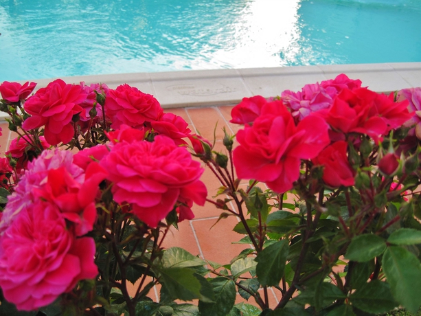 Imagen de la piscina del Hotel Certaldo. Foto 9