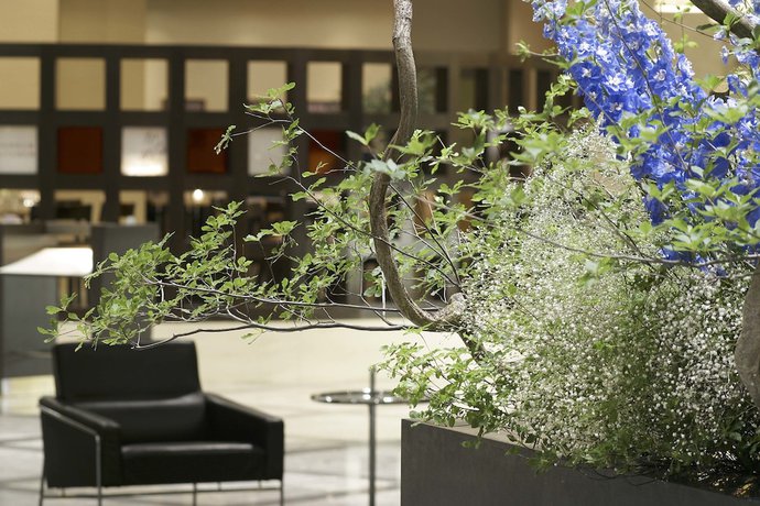 Imagen de los interiores del Hotel Cerulean Tower Tokyu. Foto 13