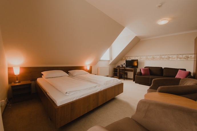 Imagen de la habitación del Hotel Cesarski. Foto 11