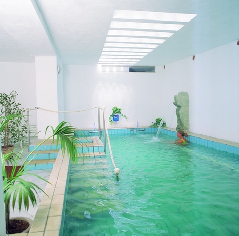 Imagen de la piscina del Hotel Cesotta. Foto 16