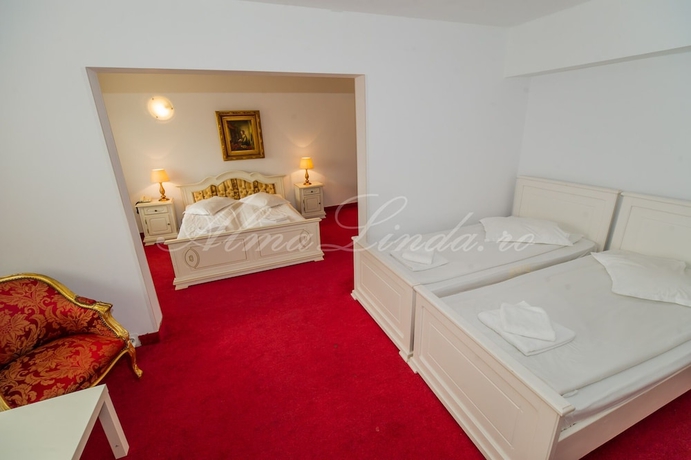 Imagen de la habitación del Hotel Cetate Imparatul Romanilor. Foto 6