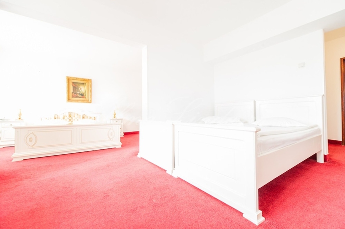 Imagen de la habitación del Hotel Cetate Imparatul Romanilor. Foto 7