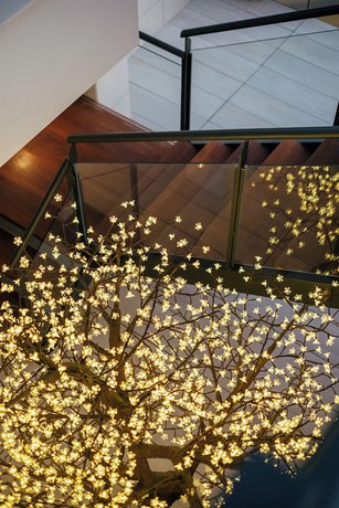 Imagen de los interiores del Hotel Cetina Cabo de Palos Puerto. Foto 16