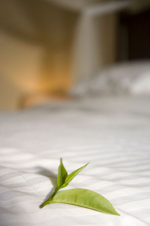 Imagen de la habitación del Hotel Ceylon Tea Trails. Foto 9