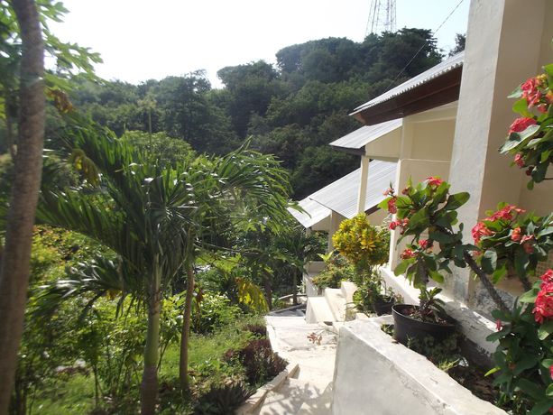 Imagen de los exteriores del Hotel Cf Komodo. Foto 10