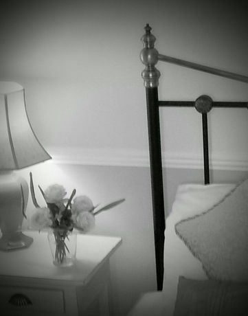 Imagen de los interiores del Hotel Cfeleven. Foto 11