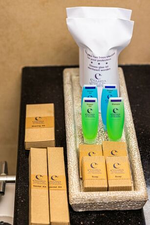 Imagen general del Hotel Chaarya Resort and Spa by Chandrika. Foto 5