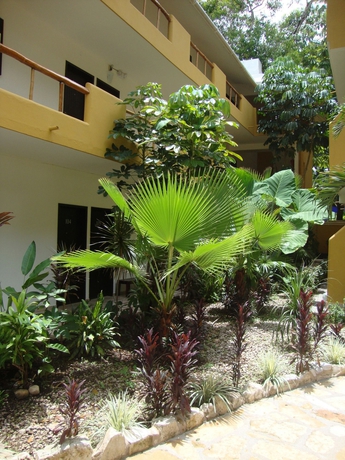 Imagen de los exteriores del Hotel Chablis Palenque. Foto 13