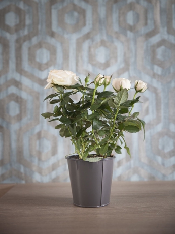 Imagen de la habitación del Hotel Chabrol Opéra. Foto 17