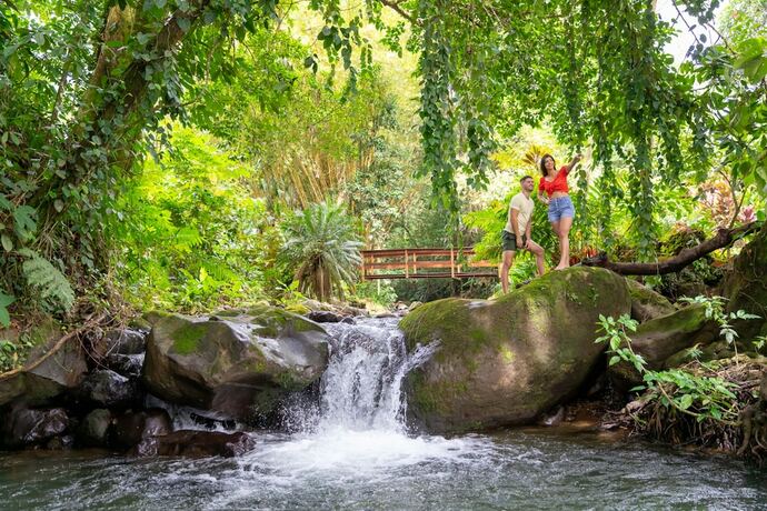 Imagen general del Hotel Chachagua Rainforest and Hot Springs. Foto 1