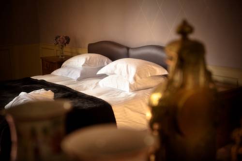 Imagen de la habitación del Hotel Ch&acirc;teau D'apign&eacute; Rennes. Foto 8