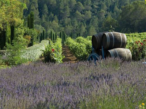 Imagen de la habitación del Hotel Château De Berne. Foto 11