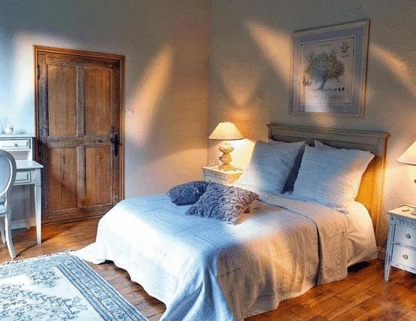 Imagen general del Hotel Ch&acirc;teau De Charg&eacute;. Foto 10