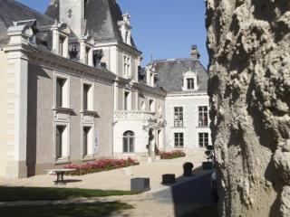 Imagen de los exteriores del Hotel Château De La Barbinière. Foto 9