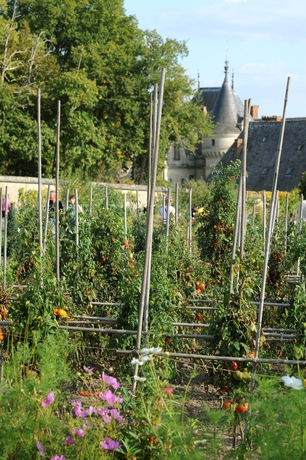 Imagen de los exteriores del Hotel Château De La Bourdaisière. Foto 14
