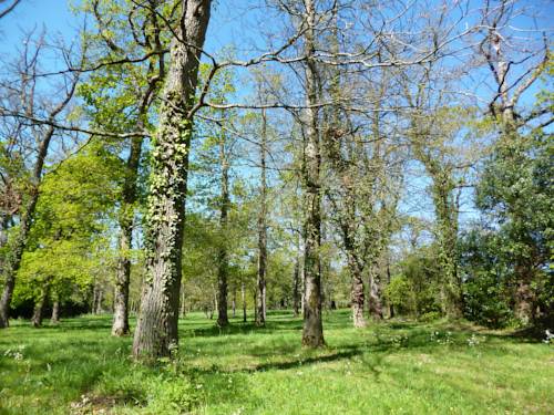 Imagen de la habitación del Hotel Ch&acirc;teau De La Gressi&egrave;re. Foto 15