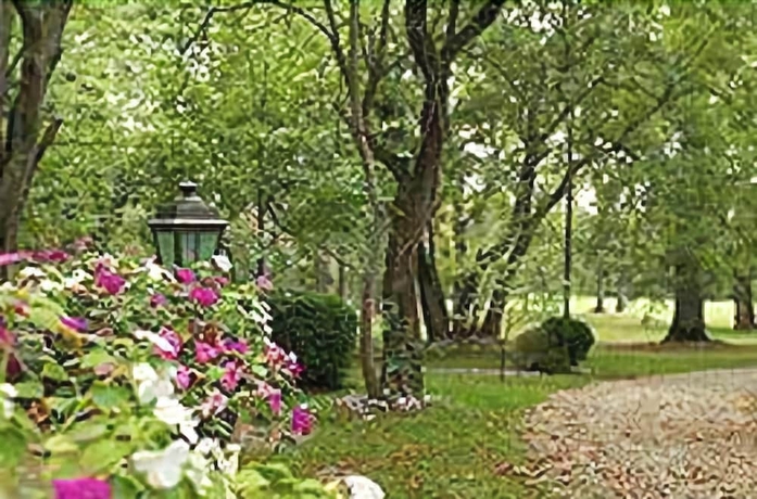 Imagen de los exteriores del Hotel Ch&acirc;teau De Larroque. Foto 11