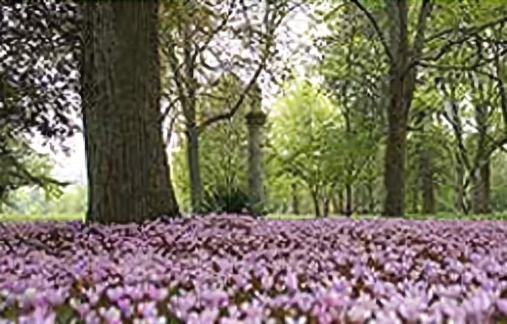 Imagen de los exteriores del Hotel Ch&acirc;teau De Larroque. Foto 12