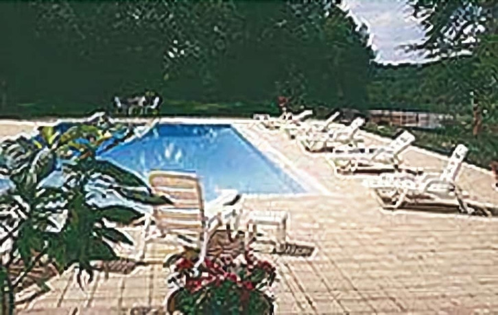 Imagen de la piscina del Hotel Ch&acirc;teau De Larroque. Foto 14