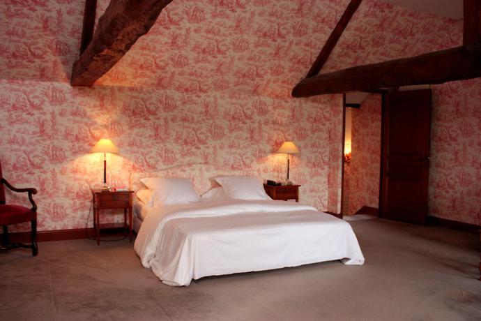 Imagen general del Hotel Ch&acirc;teau De Mar&ccedil;ay. Foto 3