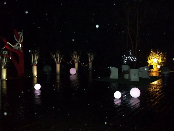 Imagen de los exteriores del Hotel Ch&acirc;teau De Nieuil. Foto 6