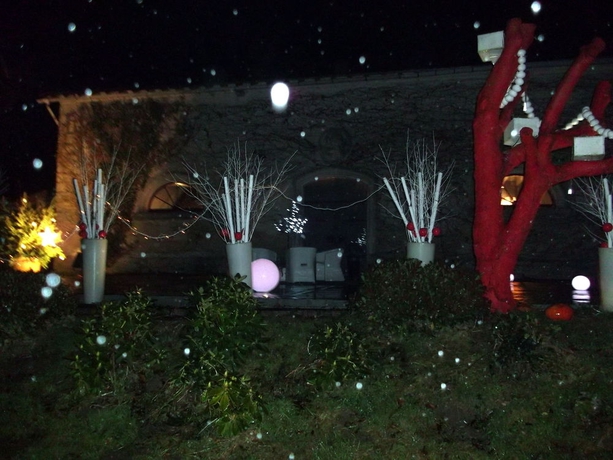 Imagen de los exteriores del Hotel Ch&acirc;teau De Nieuil. Foto 7