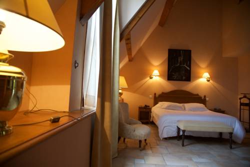 Imagen de la habitación del Hotel Ch&acirc;teau De Salles. Foto 12