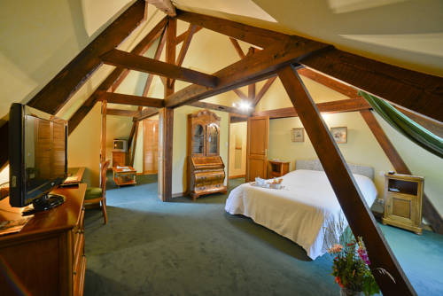 Imagen de la habitación del Hotel Ch&acirc;teau De Salles. Foto 13