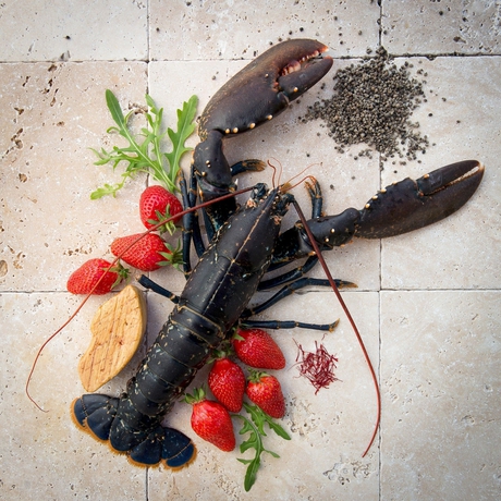 Imagen del bar/restaurante del Hotel Ch&acirc;teau Des Vigiers. Foto 4