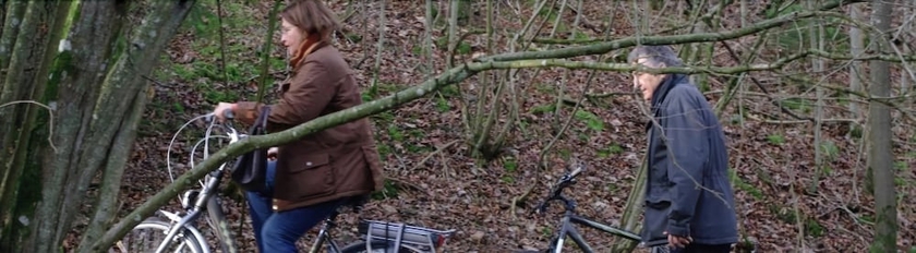 Imagen general del Hotel Ch&acirc;teau D'hassonville. Foto 2