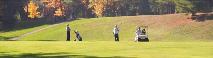 Imagen general del Hotel Ch&acirc;teau D'hassonville. Foto 4