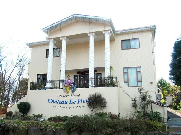 Imagen general del Hotel Ch&acirc;teau Le Fleur. Foto 5