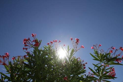 Imagen general del Hotel Ch&acirc;teau Le Haget. Foto 14