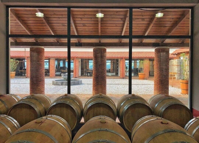 Imagen de los interiores del Hotel Ch&acirc;teau Mosmieri and Winery. Foto 16